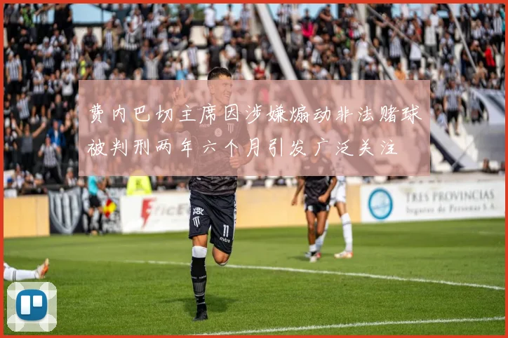 费内巴切主席因涉嫌煽动非法赌球被判刑两年六个月引发广泛关注