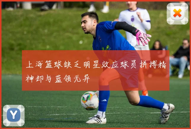 上海篮球缺乏明星效应球员拼搏精神却与蓝领无异
