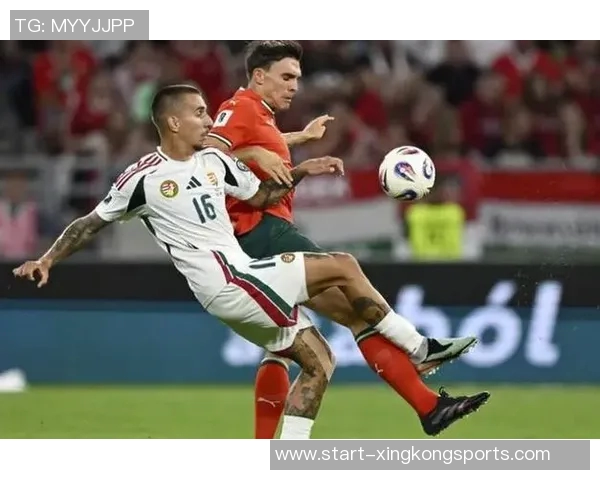 帕利尼亚坚定信心期待11月份锁定世界杯资格只差一步之遥 帕利尼亚坚定信心期待11月份锁定世界杯资格只差一步之遥