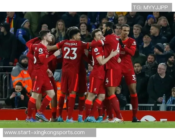 比利时国家队10月集训名单公布德布劳内领衔多库特罗萨德等新星入选 比利时国家队10月集训名单公布德布劳内领衔多库特罗萨德等新星入选